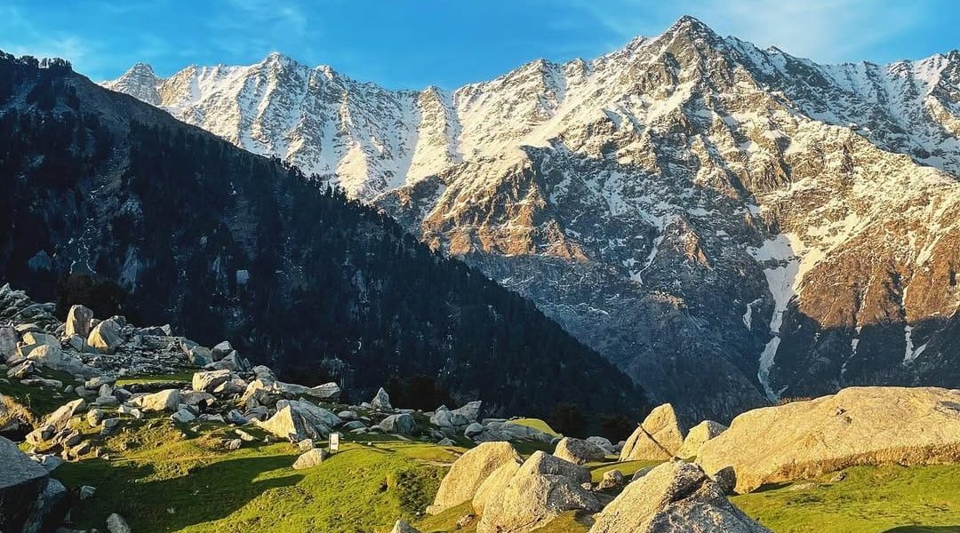 0b168b90-9704-47d5-86be-8b42cf6372de