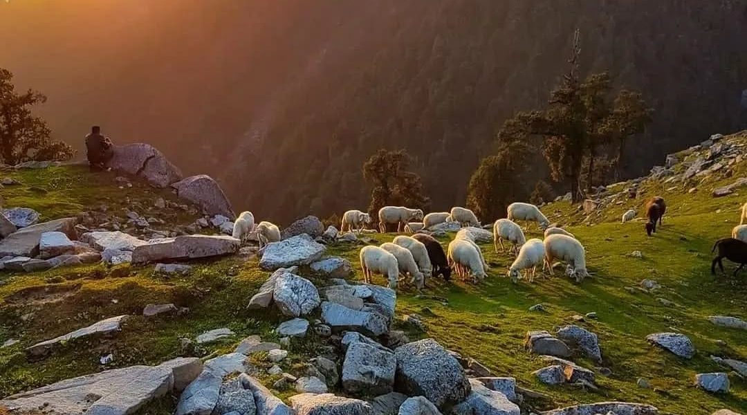 112f8fed-bb24-4568-a3ec-f7127f444ebd