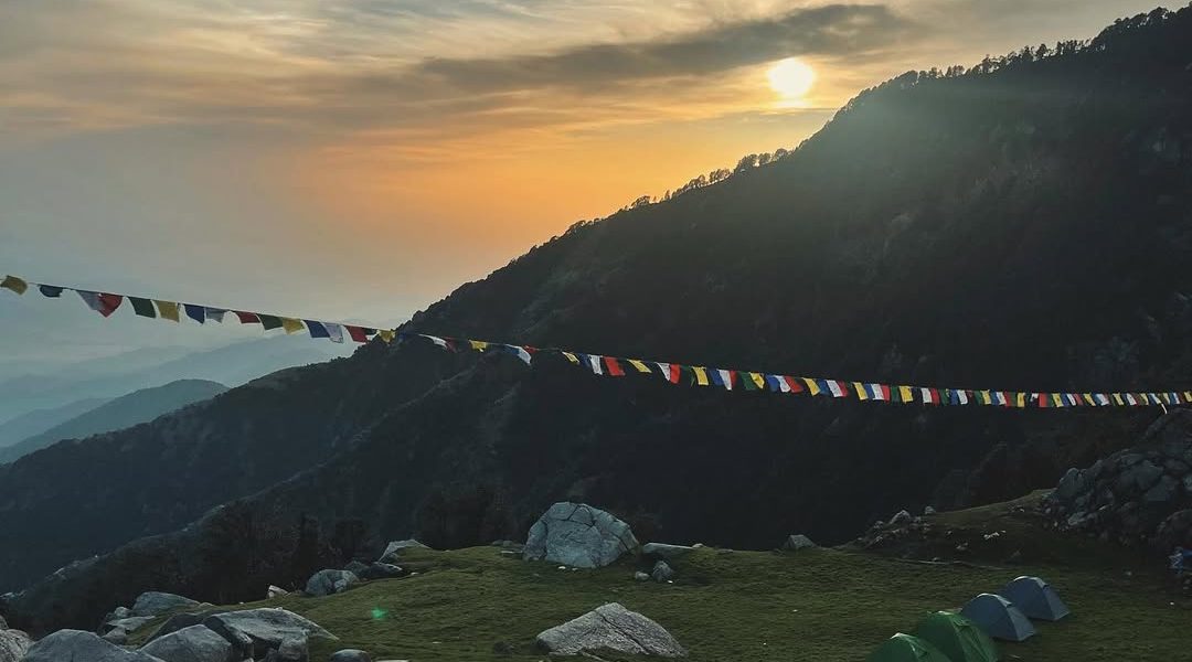 21cf522d-a5dc-4b08-a601-177f0a3276bb