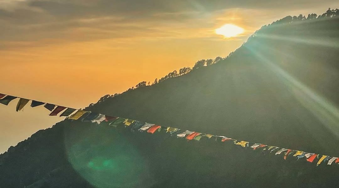 47d1eb03-bca1-4d93-9099-5a7ab431f839