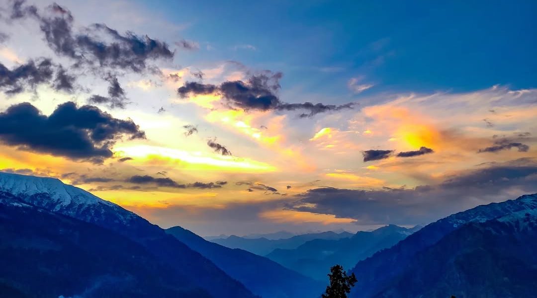 4995d914-bb76-4080-8969-303d4a08f3eb