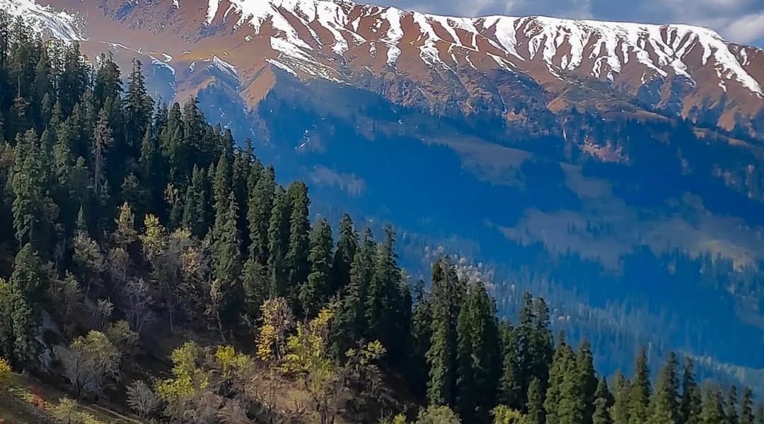 63cc5ce2-dac8-41f9-9eaf-24dedb6d9969