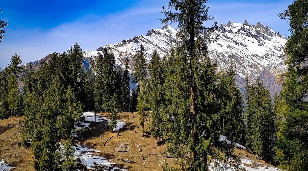 86dc077c-ff09-4276-8fc7-35e470a80fde