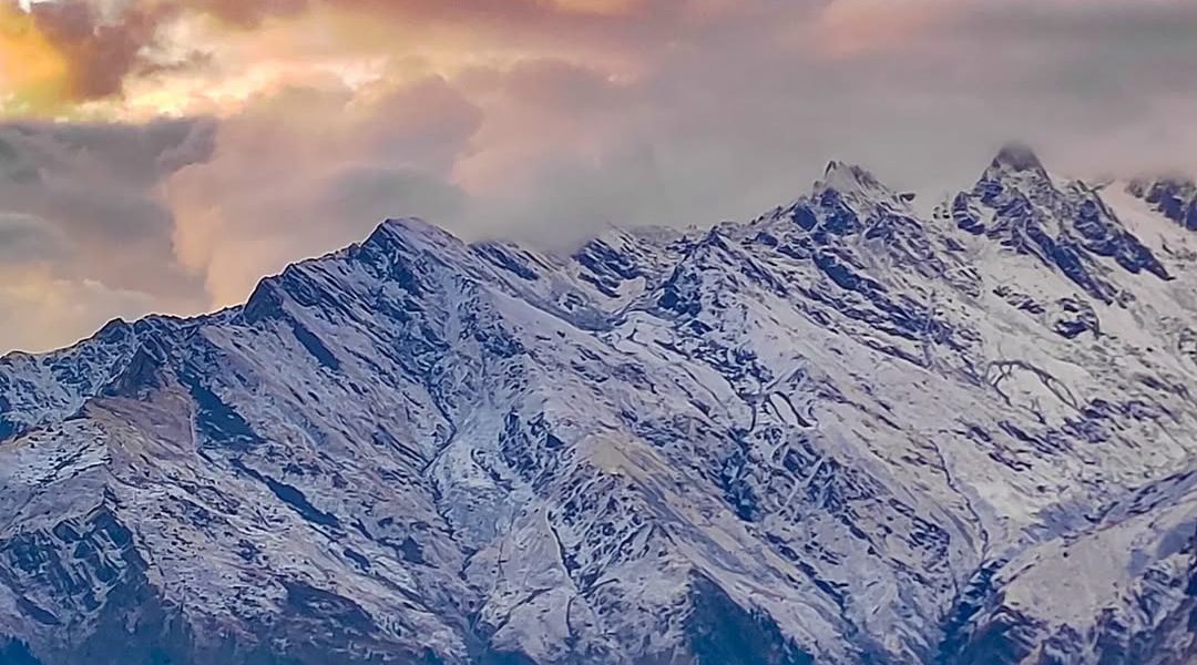 b9491704-b684-4a01-b4d1-573836dc680d