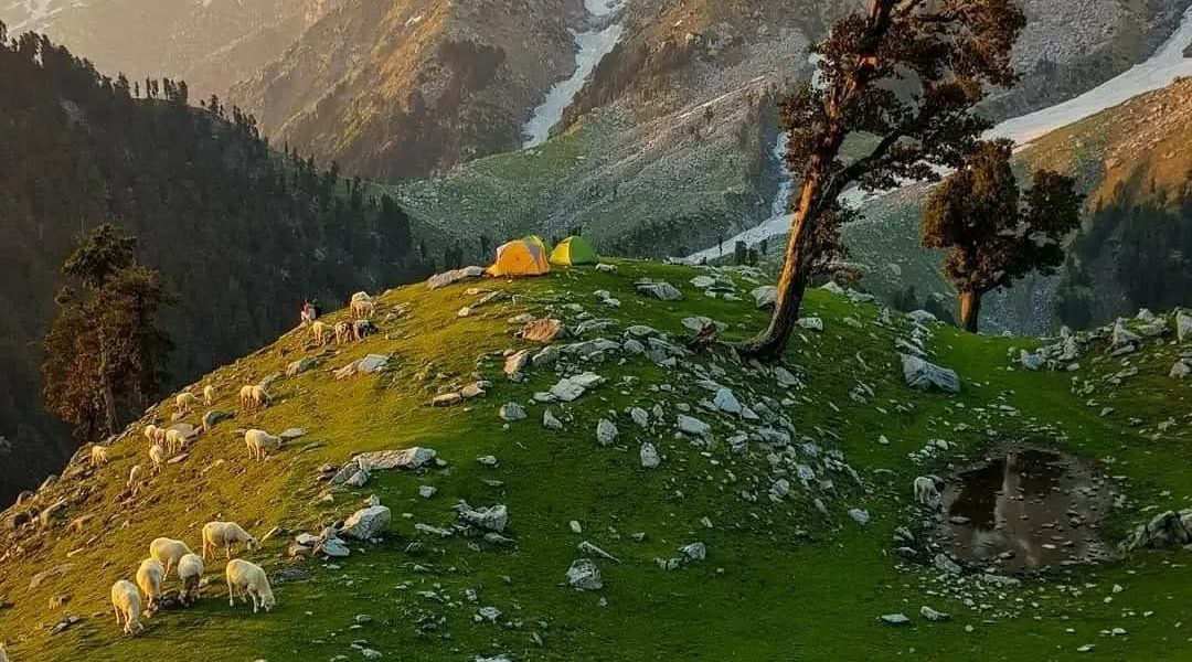 e108efa1-edd6-4aeb-9d8b-ebb679b2caef