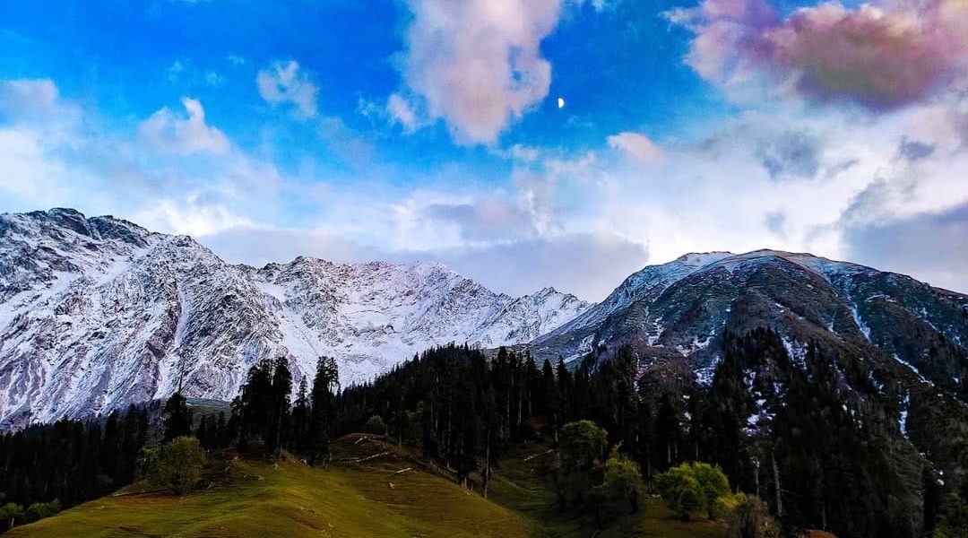 f34c8bf6-6ae4-4c85-9d4b-dfba9930b18a